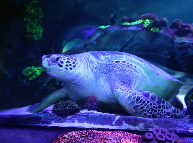 SEA LIFE Konstanz